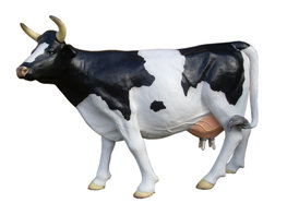 201 Levensgrote Melk Koe