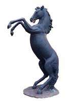 Levensgroot Stijgerend Paard