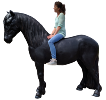 Levensgroot Frisian Paard