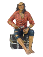 Piraten Piraat op schatkist