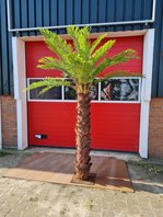 Kunstboom Beachpalm 250cm