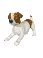 ht02 Jack Russel
