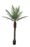 Palmtree 190cm
