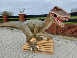 Velociraptor dinosaurus