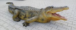 Lifesize Crocodile