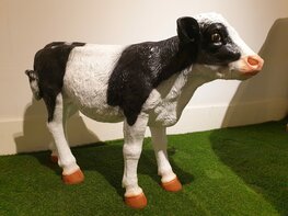 Koe staand 70cm